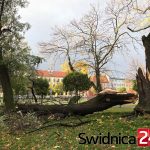 wichura 29.10 (2)