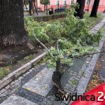 wichura 29.10 (5)
