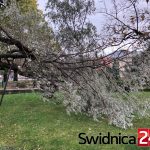 wichura 29.10 (9)