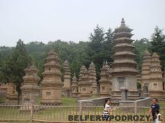 Belfer w podróży: Śladem światowych nekropolii