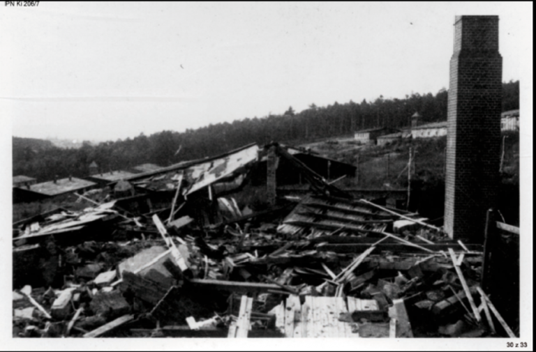 Tragedia więźniów Gross Rosen na unikalnych zdjęciach z 1945 roku