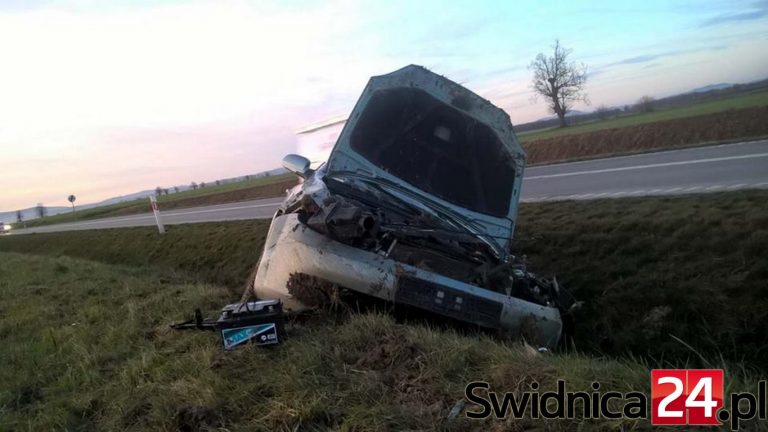 Wylądował w rowie [FOTO]