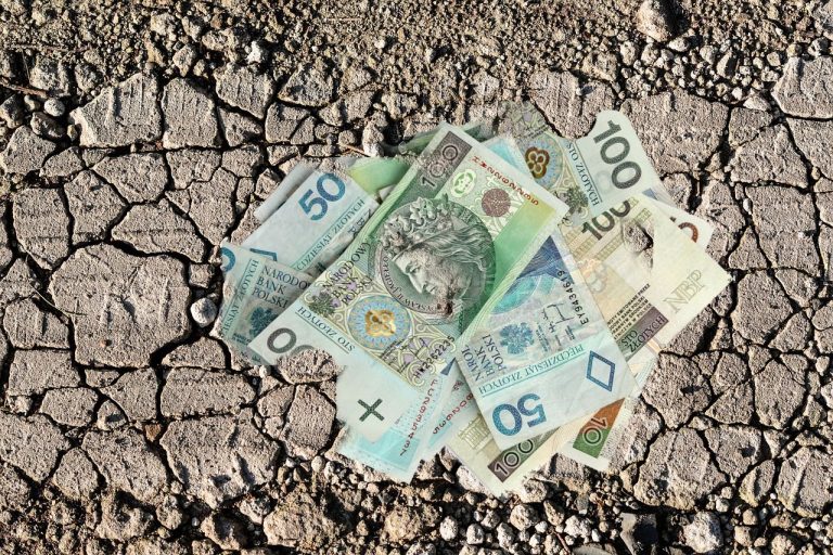 Audyt miejskich jednostek za 100 tysięcy zł do kosza?