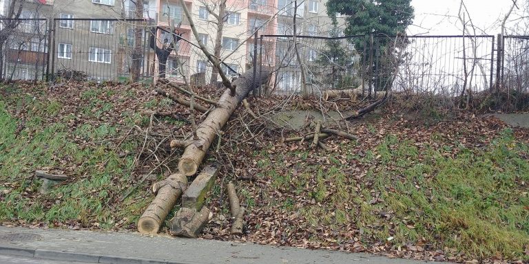 Przewróciło się, niech leży? [FOTO]