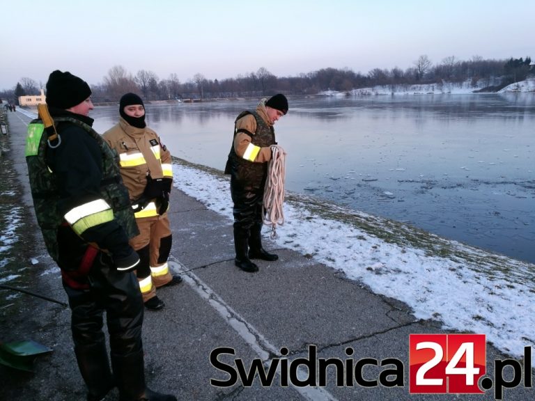Strażacy w trosce o ptactwo znad zalewu [FOTO]