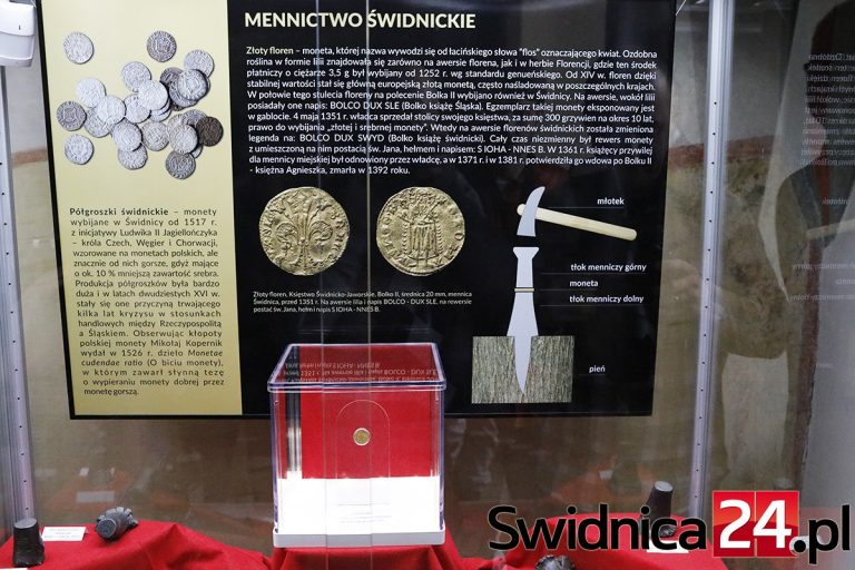 Zabytkowy, złoty floren w zbiorach świdnickiego muzeum [FOTO]