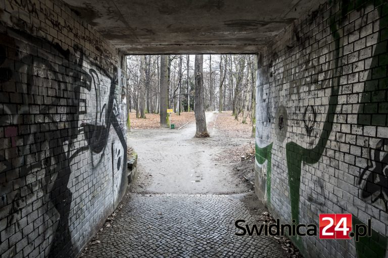 Górka saneczkowa i psi wybieg. Odmienią park Sikorskiego?
