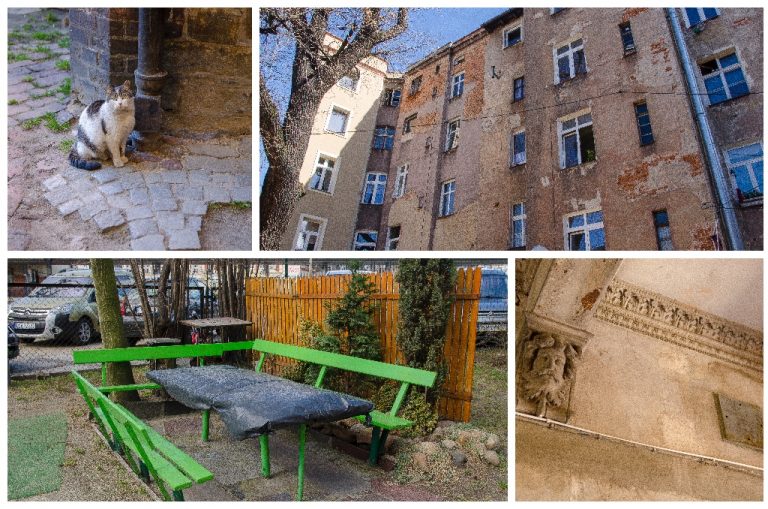 Świdnica od podwórza – odc.12 [FOTO]