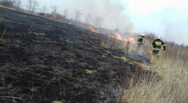 Strażacy walczą z wypalaniem traw. 30 interwencji w ten weekend