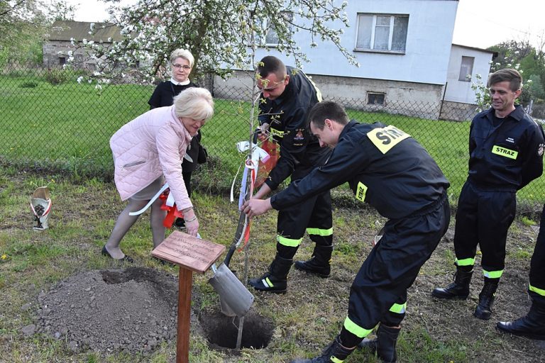 Dęby na stulecie niepodległości ze strażacką asystą [FOTO]