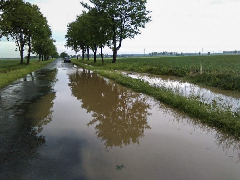 Ekspresowy remont drogi Bolesławice-Piotrowice? Jest przetarg