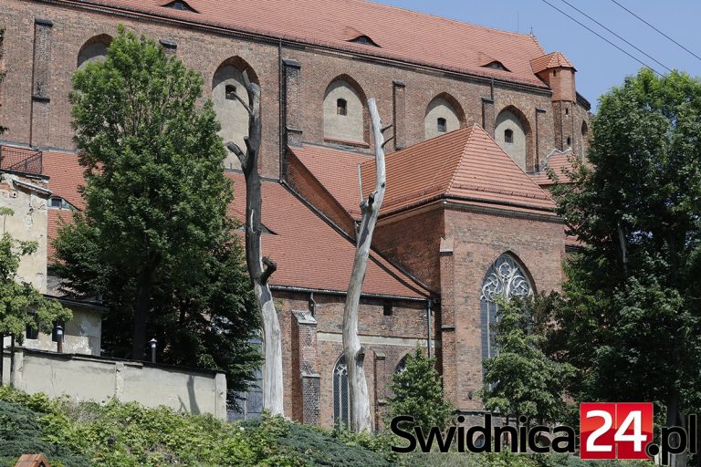 Parafia katedralna płaci 20 tysięcy złotych kary