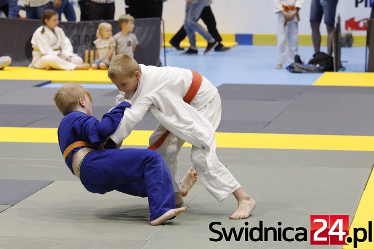 Świdnica będzie gospodarzem dużego wydarzenia w judo