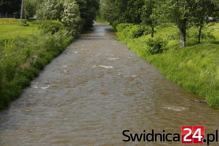 Zwłoki kobiety nad rzeką w Świdnicy