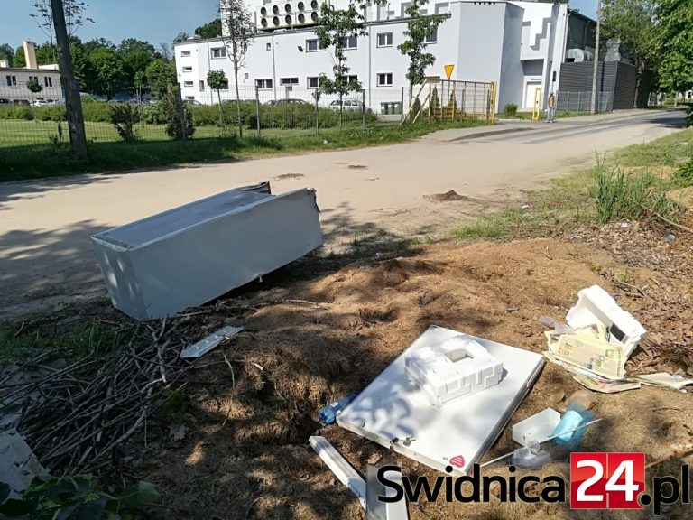 Dzikie wysypisko tuż przy sportowych obiektach w Świdnicy [FOTO]