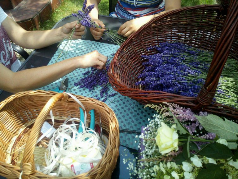 Pierwszy Świdnicki Festiwal Rękodzieła