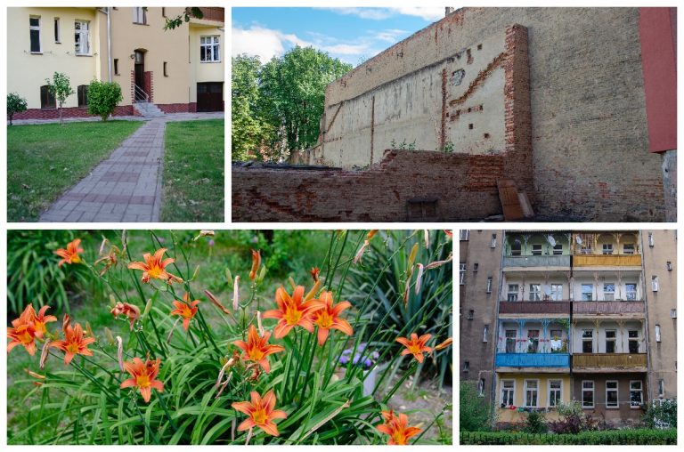 Świdnica od podwórza – odc. 22 [FOTO]