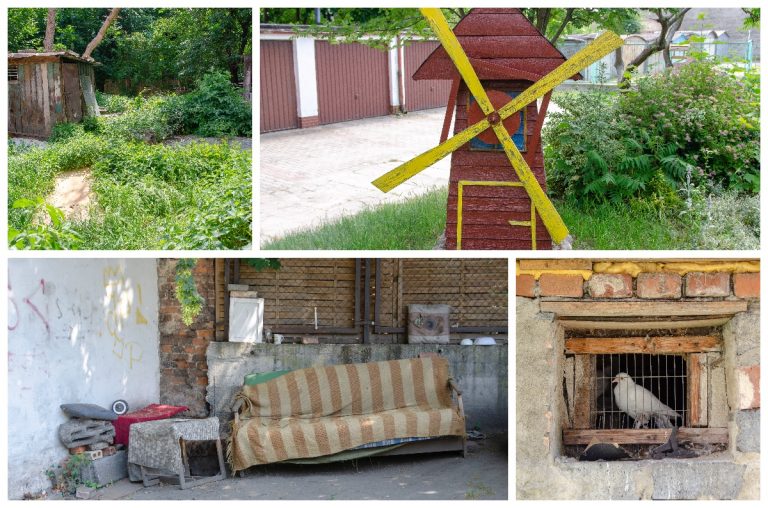 Świdnica od podwórza – odc. 20 [FOTO]