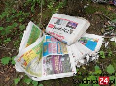 Pensja z PUP, zlecenie z biblioteki. Jak MBP opłaca pracowników tuby propagandowej miasta