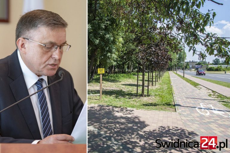 Pomnik żołnierzy wyklętych dostał zielone światło. Stanie w Parku Centralnym