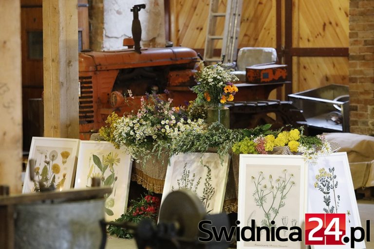 Świętojański piknik w Piotrowicach Świdnickich trwa