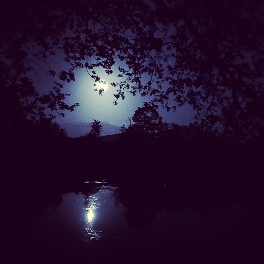 Księżyc nad stawem w Gogołowie, fot. Łukasz Balant