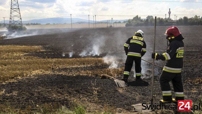 Pożar ścierniska pod Świdnicą [FOTO]