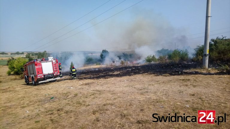 Pożar traw przy Osiedlu Młodych [FOTO]