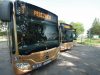 Dodatkowa linia autobusowa na Świebodzicki Piknik Militarny