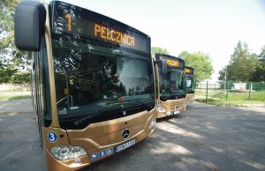 Dodatkowa linia autobusowa na Świebodzicki Piknik Militarny