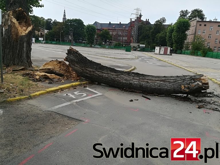 Potężny konar runął na plac targowiska w Świdnicy [FOTO]