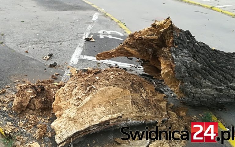 Do wieczora silny wiatr w regionie. Meteorolodzy ostrzegają
