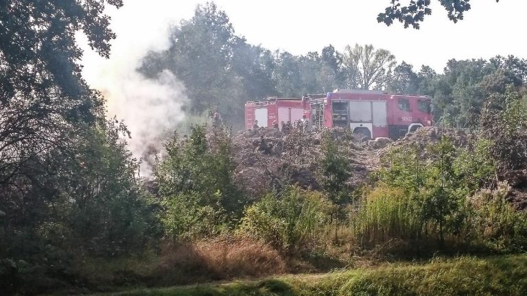 Palą się nieużytki w Świdnicy. Na Osiedlu Młodych grasuje podpalacz?