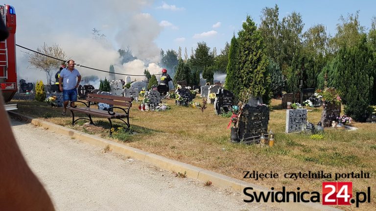 Pożar cmentarza przy ul. Słowiańskiej w Świdnicy [VIDEO]