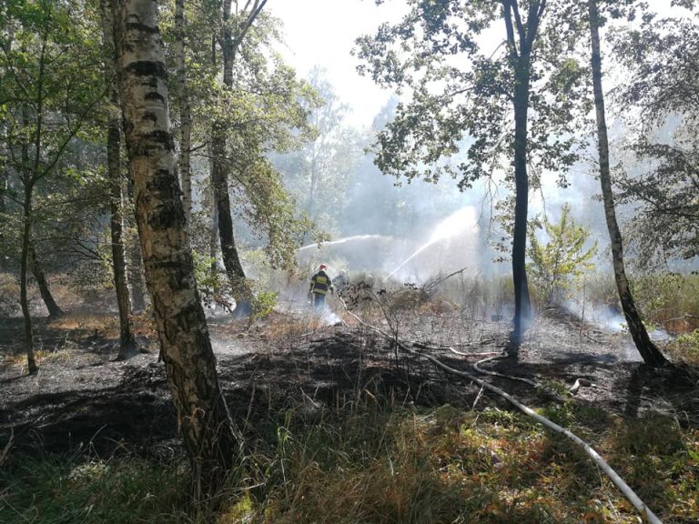 Duże zagrożenie pożarowe w lasach