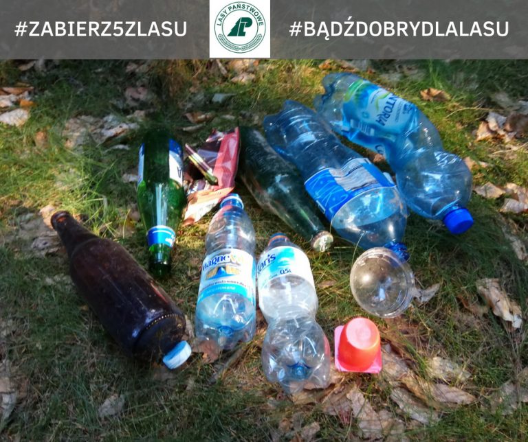 Zbierz 5 sztuk śmieci i odmień lasy!