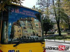 Świebodzice nie czekają na Świdnicę i odpowiadają na ruch Wałbrzycha. Będzie reaktywacja „połowy” linii 31?