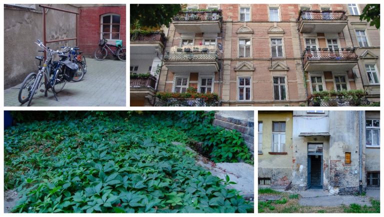 Świdnica od podwórza – odc. 35 [FOTO]