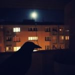 Agnieszka Kaniewska_na ul. Saperów w Świdnicy