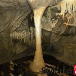 Jaskinia Nietoperzy po remoncie, Nadleśnictwo Świdnica, 2018 (3)