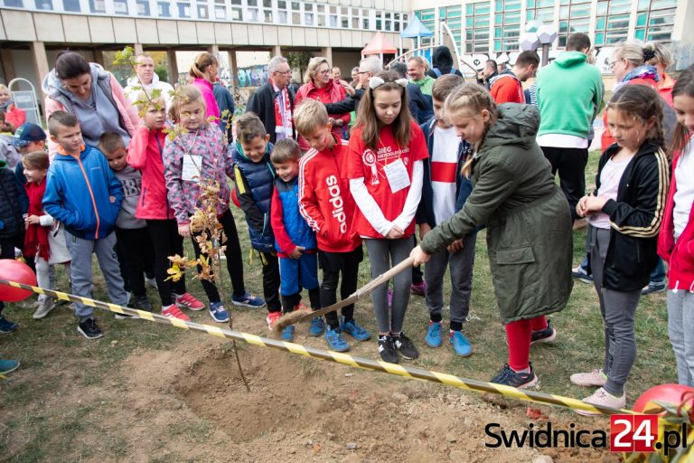 Zasadzili dąb na 100-lecie Niepodległości [FOTO/VIDEO]