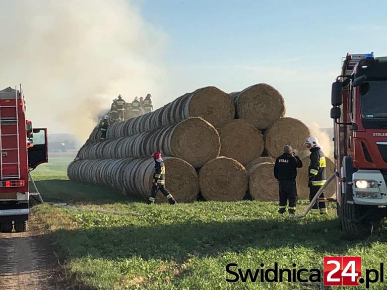 Sześć tysięcy złotych za wskazanie podpalacza