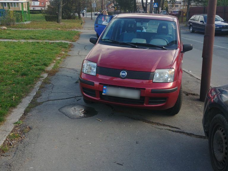 Mistrzowie parkowania [FOTO]