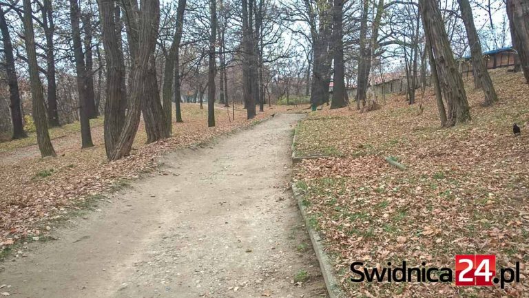 Park Wrocławski do rewitalizacji. Na razie przebudują główną alejkę