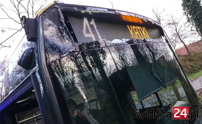 Drzewo runęło na miejski autobus [FOTO]