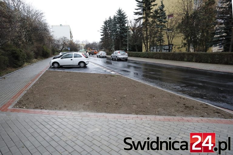 Zamiast miejsc parkingowych będą rabatki [FOTO]