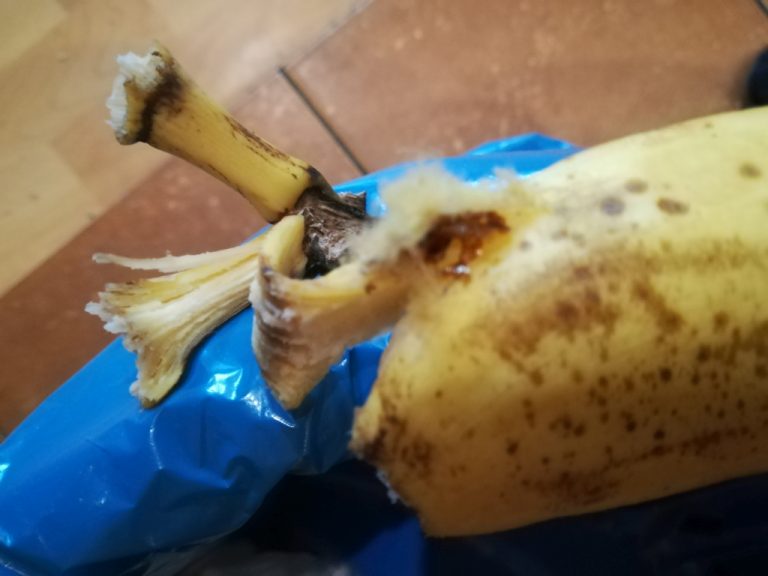 Banan z kokonem pająka?