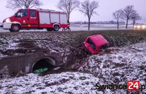 Wypadek w Strzelcach. Kierowca trafił do szpitala