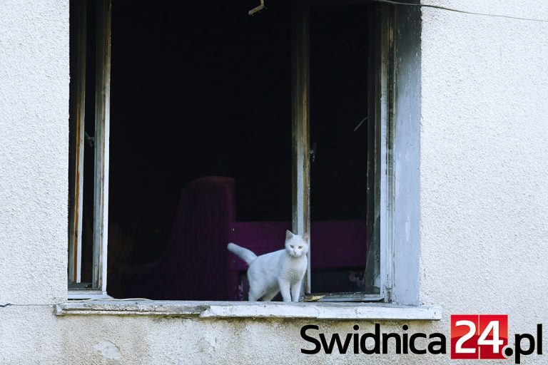 Pomoc dla pogorzelców z Goli Świdnickiej