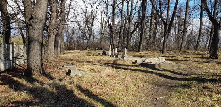 Wysprzątali żydowski cmentarz